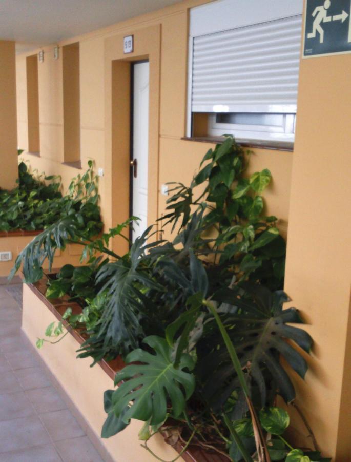 The Sunset Apartment Costa Adeje  Luaran gambar